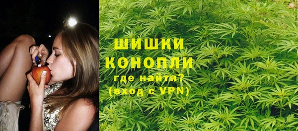 ПСИЛОЦИБИНОВЫЕ ГРИБЫ Аркадак