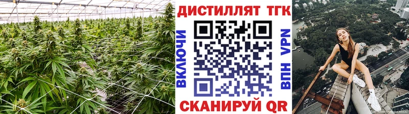 Дистиллят ТГК THC oil  купить закладку  Ахтырский 